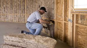 Best Eco-Friendly or Green Insulation Solutions  in Rio Grande City, TX